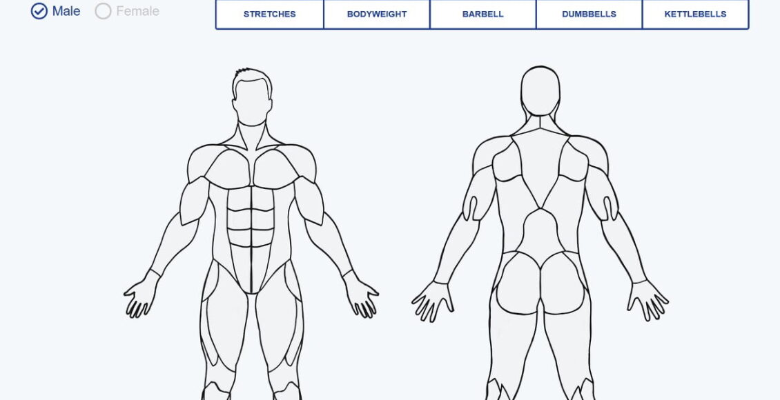 موقع ماسل ويكي يعطيكم تمارين لكل عضلة في الجسم للرجال والنساء